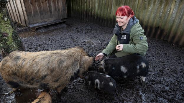 Det var i forbindelse med udlejning af grise til den tidligere ejer af dyreparken, at idéen om at købe den opstod. - Jeg stod og skulle til at læse til dyrlæge, men kunne godt se at købe en dyrepark var noget federe, fortæller Maria Buus. <i>Foto: Claus Søndberg</i>