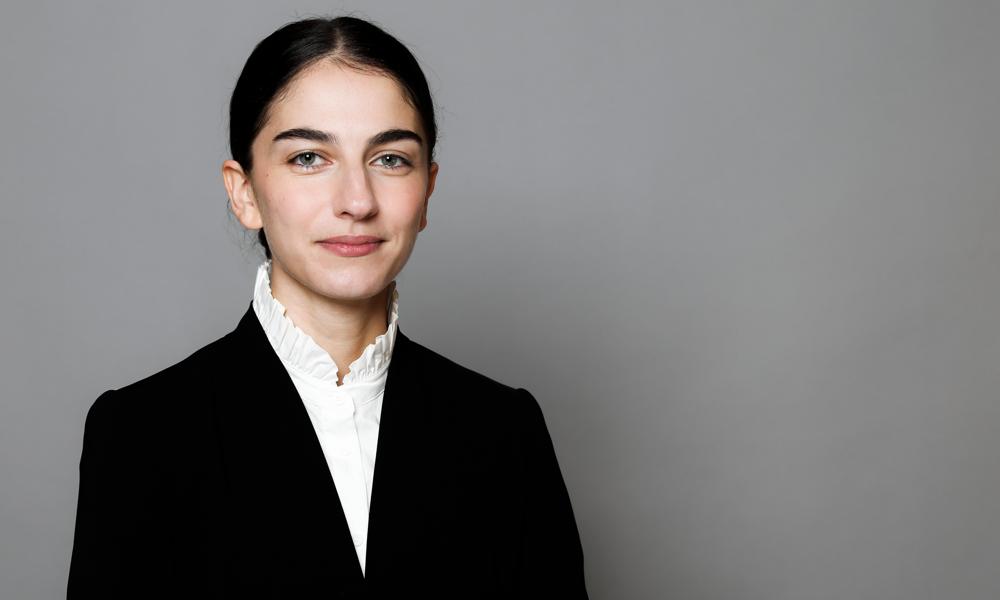 Romina Pourmokhtari, Klimat- och miljöminister Romina Pourmokhtari, Klimat- och miljöminister