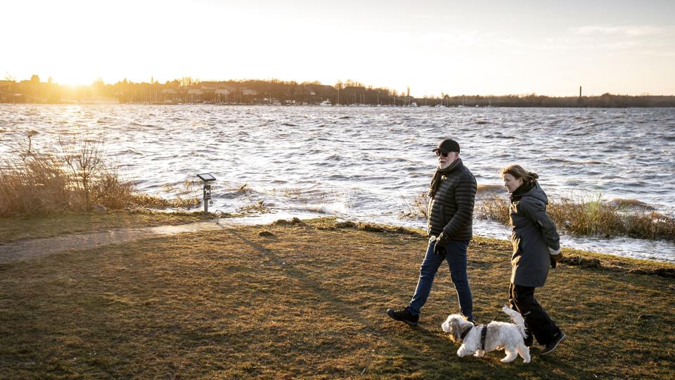 I løbet af den kommende uge er der chance for, at solen bryder igennem skydækket. (Arkivfoto). <i>Mads Claus Rasmussen/Ritzau Scanpix</i>