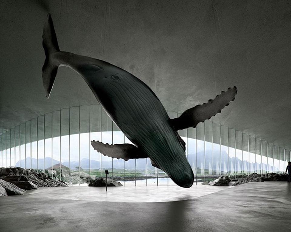 Se flere fotos af The Whale