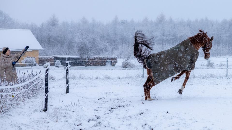 Snevejr i Guldbæk, Vesthimmerland. <i>Foto: Martél Andersen</i>