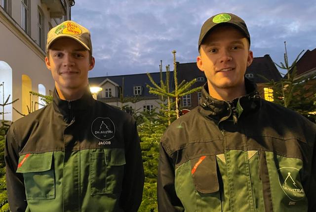 Jacob (tv) og Emil (th) Møller driver virksomheden DK-Juletræ, hvor de sælger og leverer juletræer med lyskæder. Igen i år har de stået for at opstille juletræer i gågaden i Hobro.