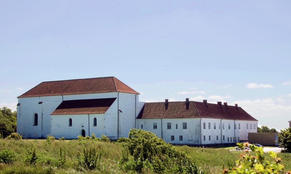 Realiseringsprojektet planlægger at genanvende en herregårdsmejeribygning på Børglum Kloster i Nordjylland. Genanvendelse af bygningen til specialmalteri skal skabe arbejdspladser og nyt produktionsliv på den gamle herregård og tiltrække turister.