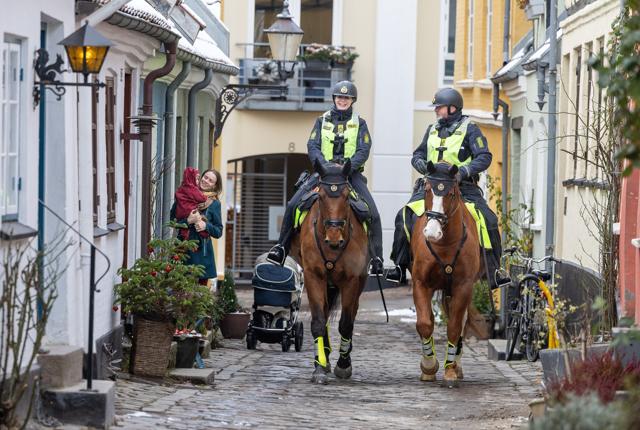 To betjente - og heste - fra København kommer til Aalborg fredag og lørdag for at patruljere i Aalborg Midtby. Her er de i Hjelmerstald.