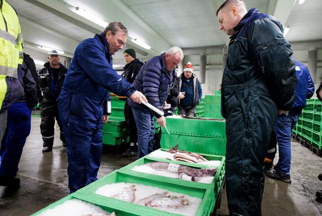 Sidste år blev der solgt 34.924 tons fisk for 809 millioner kroner på Hanstholm Fiskeauktion.