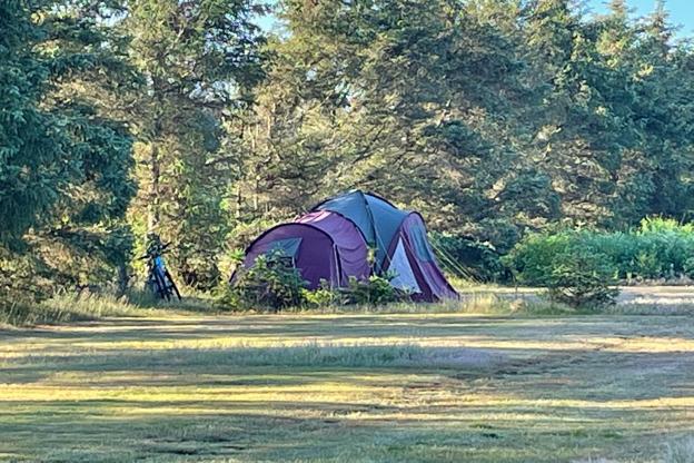 ar Ulydighed Kontoret Nu kan du realisere drømmen om egen campingplads | Nordjyske.dk