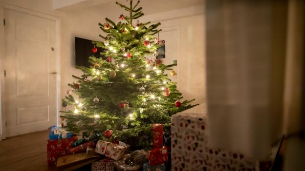 Hedehusets juletræ med alle pakkerne. En af børnene er nisse og læser navnene op på dem, som skal have gaver. De voksne får også gaver.  <i>Foto: Martél Andersen</i>