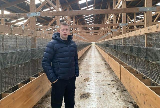 Martin Korsbæk fra Fjerritslev er en af de minkavlere, der er klar til at genstarte minkerhvervet fra 1. januar.
