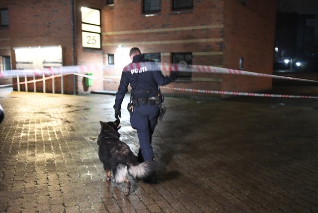 Politiet var til stede med hunde, efter en ung kvinde anmeldte en voldtægt på Østerbrogade i Nørresundby nytårsnat.