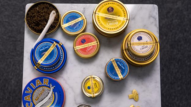Kaviar fås i mange forskellige varianter - og dåsestørrelserne varierer mellem 15 gram og 1000 gram. <i>Foto: Martél Andersen</i>