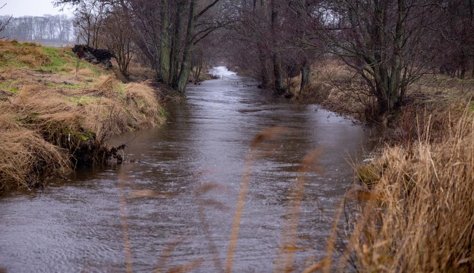 Elling å er en af de åer, som DMI forudser forhøjede vandstande for - og risiko for oversvømmelser i de kommende dage. <i>Arkivfoto: Martél Andersen</i>