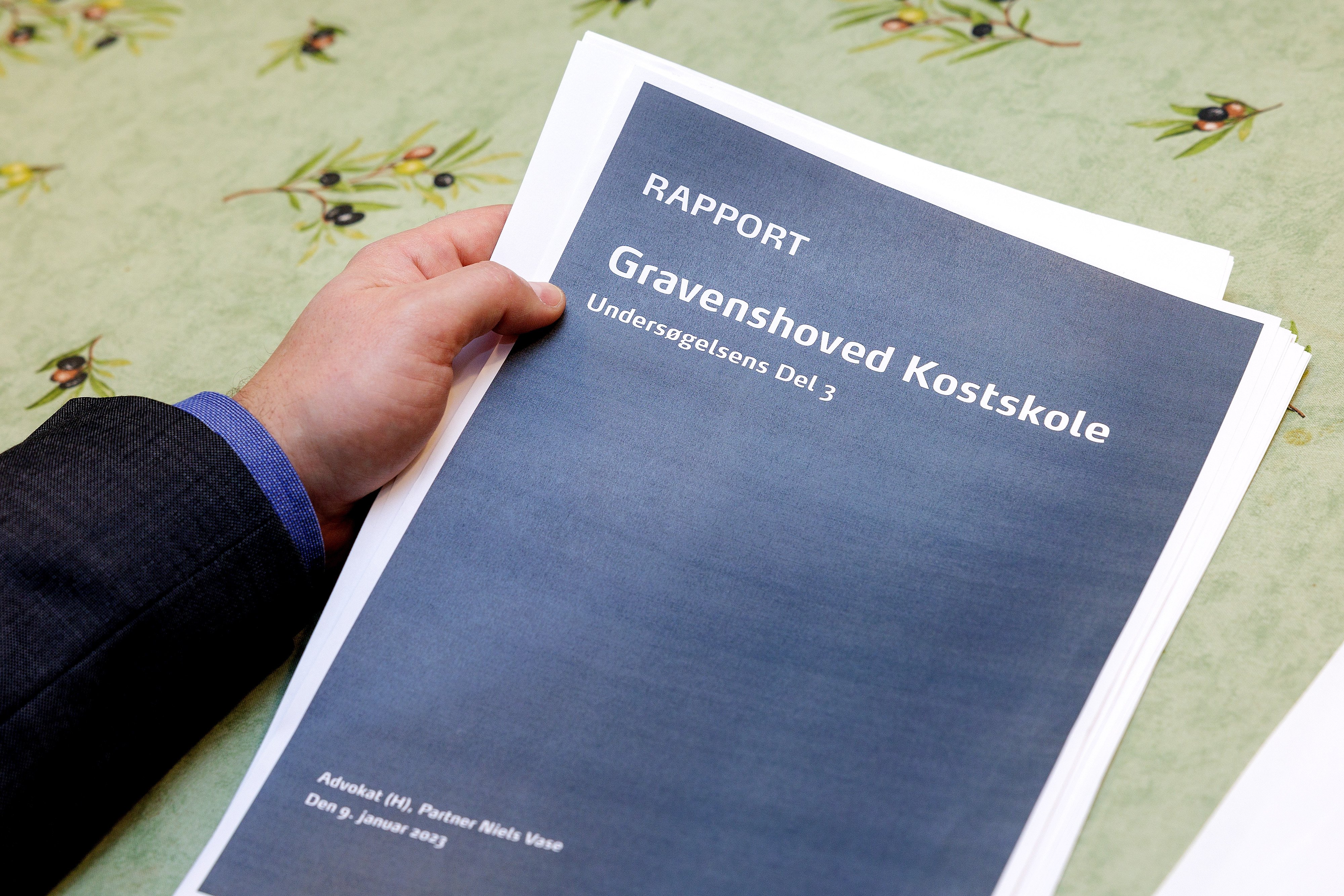 Gravenshoved-rapport har det meste, men mangler det vigtigste