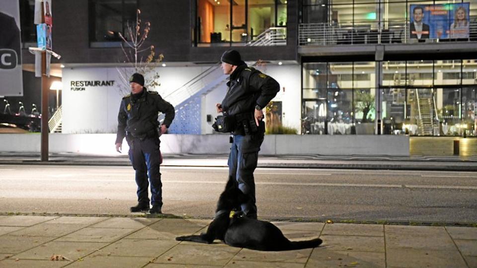 En 27-årig mand blev dræbt af knivstik efter en bytur i Aalborg. Politiet søgte spor - også med hunde - i området omkring drabsstedet. <i>Foto: Jan Pedersen</i>