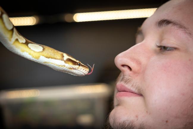 21-årige Nicklas Dupont er vild med reptiler. Han opdrætter selv slanger, og han tager gerne ud fortælle om eksotiske dyr. 

Aalborg 18. Januar 2023
