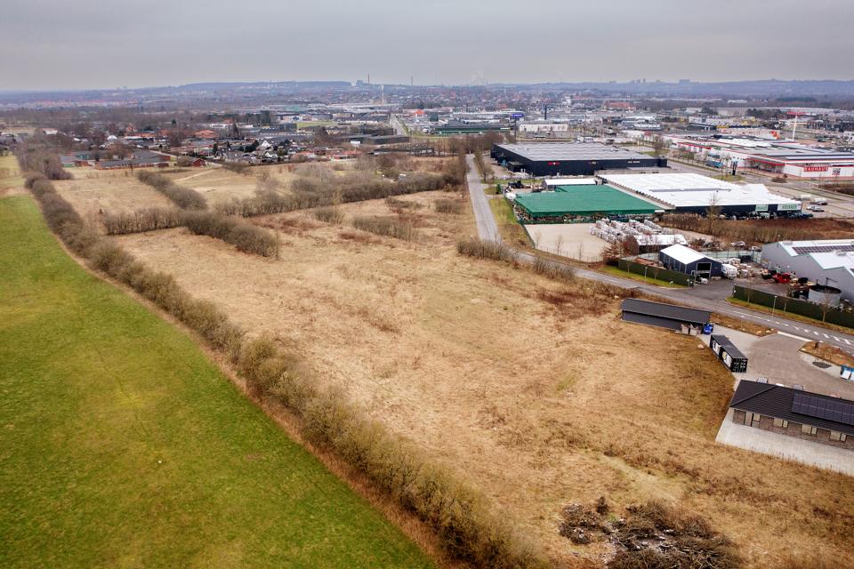 Nu er er der givet grønt lys til at arbejde videre med en lokalplanlægning af en ny tømmerhandel. <i>Foto: Lars Pauli</i>