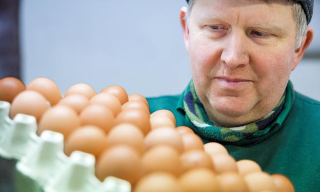 Carsten Sørensen håber, at forbrugerne bliver ved med at vælge de økologiske æg frem for de konventionelle, til trods for mandagens nyheder. <i>Foto: Bo Lehm</i>