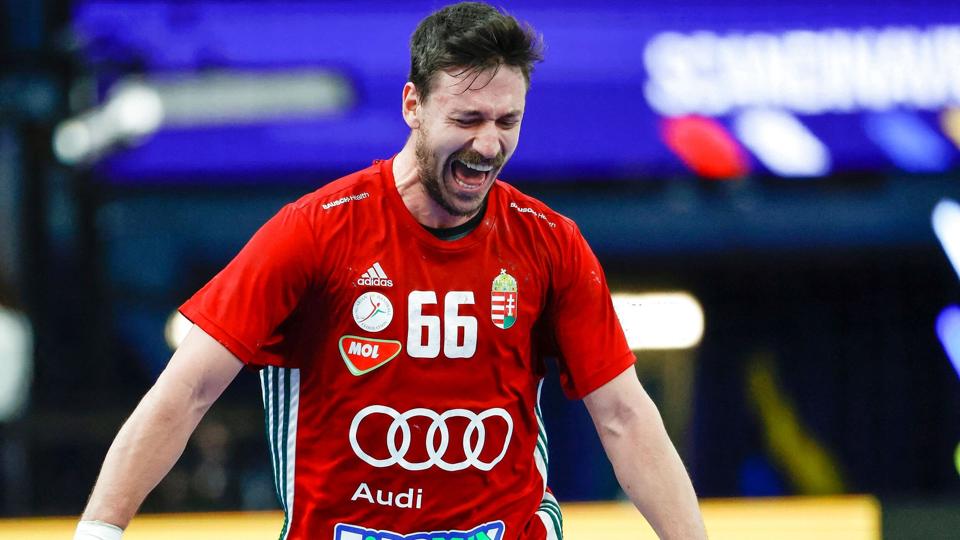 Mate Lekai jubler over en ungarsk scoring i VM-kampen mod Brasilien. <i>Adam Ihse/Ritzau Scanpix</i>