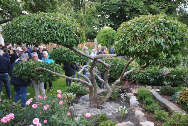 Hjortdal-Fjerritslev Havekreds har oplevet stor interesse for besøg i lokale haver. <i>Privatfoto</i>
