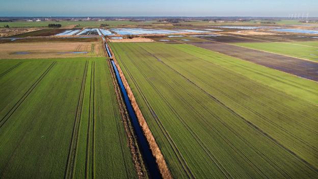 Projektforslaget "Jammerbugt Go Green" indeholder planer om etablering af en solcellepark på et 670 hektar stort areal beliggende nord for Aabybro. Desuden er der planer om et biogasanlæg ved Ny Toftegård, en solcellepark ved Søengene og ved Tagmarksvej i Brønderslev Kommune. Endvidere indgår et område kaldet Rendbæk Øst, hvor der allerede er givet tilladelse til at opføre 15 vindmøller. <i>Foto: Claus Søndberg</i>