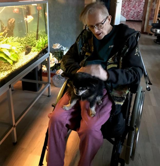 Leo sidder og kæler for sin og Sussis lille chihuahua efter udskrivelsen fra hospitalet i Hjørring. Nu drømmer den afkræftede musiker og forfatter om en hund i en helt anden størrelse. <i>Privatfoto</i>