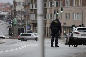 Skudepisode i Aalborg: Offer og mistænkte var fra samme bande