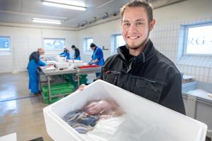 Fiskefabrik fusionerer med konkurrent