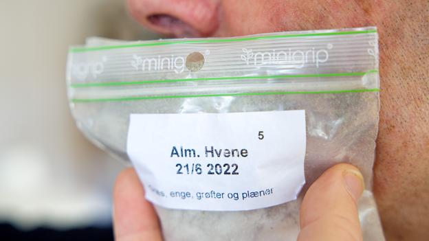 Allergenerne lader sig ikke bremse af en plastikpose. <i>Foto: Bo Lehm</i>
