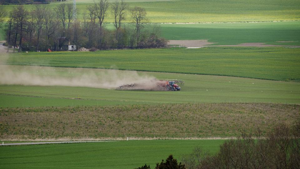 Det er lovligt for landmænd at bruge PFAS-pesticider på deres marker. Flere eksperter er dog bekymrede over brugen, fordi de frygter konsekvenserne. Det skriver Ingeniøren. (Arkivfoto). <i>Bo Amstrup / Ritzau Scanpix/Ritzau Scanpix</i>
