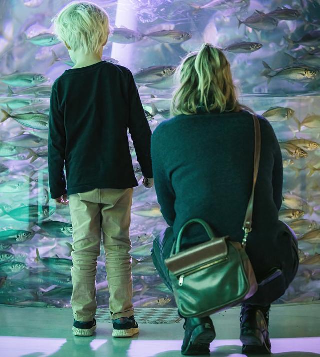 Hele 2023 på Nordeuropas største akvarium i Hirtshals vil byde på aktiviteter i fiskeriets tegn, når hovedtemaet "Ta' med ud og fisk" rulles ud fra lørdag i uge 6 og hele året ud. 