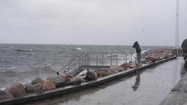 Stormen Otto er gået i land på Læsø. <i>Foto: Jacob Nymann Jensen</i>