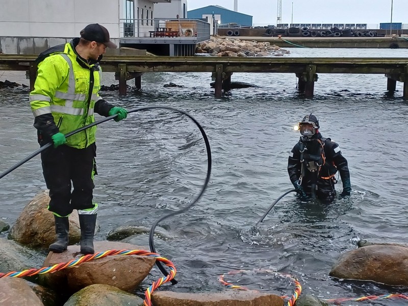 Frivillige yder en kæmpe indsats på havnen Frederikshavn | Frederikshavn