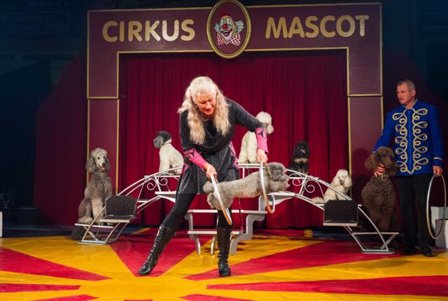 Cirkus Mascot kommer til Brønderslev 7. april.