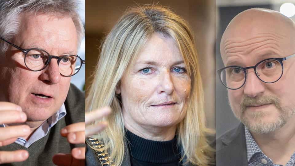 Søren Smalbro (V), Birgit S. Hansen (S) og Jesper Greth (V) har alle tre brudt ophavsretsloven det seneste år. <i>Fotos: Bente Poder og Martin Damgård</i>