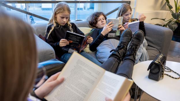 Syv piger har fundet et fristed, hvor de kan forsvinde i bøgernes verden. Uden at blive mobbet