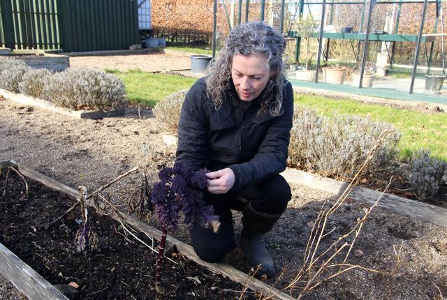 Karin Melbye er fascineret af tanken om at dyrke råvarerne selv og tilpasse  kosten sæson og udvalg i haven.