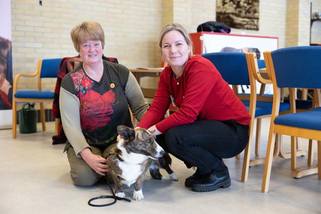 Projektchef ved TrygFonden, Line Alstrup, sammen med en af dagens deltagere: Pia Riishøj fra Vaarst med hunden Ilse, der er en welsh corgi.
