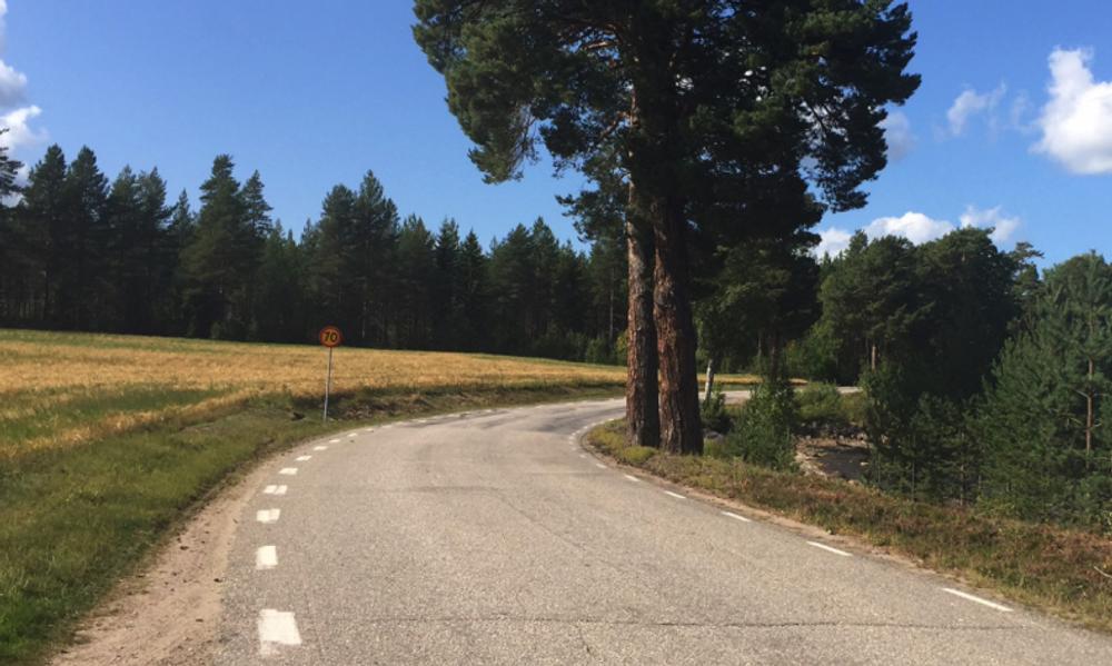 Peab har fått uppdraget att utföra bärighetsåtgärder av väg 745 mellan Bjuråker och Nässviken i Hudiksvall kommun. Peab har fått uppdraget att utföra bärighetsåtgärder av väg 745 mellan Bjuråker och Nässviken i Hudiksvall kommun.