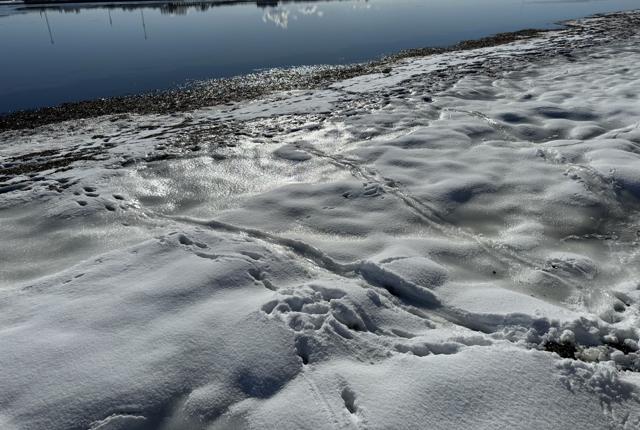 Sporene er blevet tydeligere efter der er faldet sne.