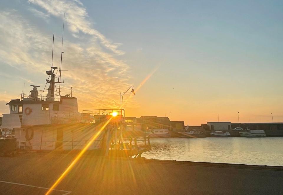 Hirtshals Havn i solnedgang <i>Foto: Anna Sprogøe</i>