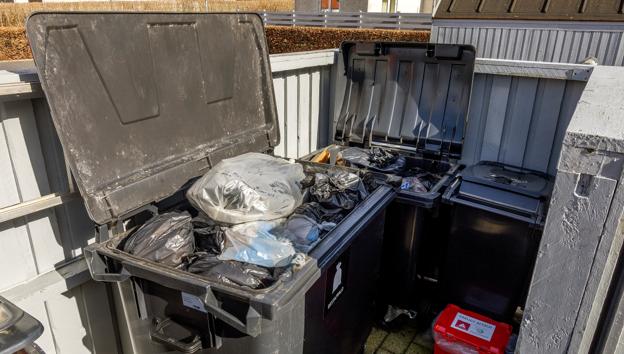 Adspurgt om skraldebilerne så har plads til dobbelt mængde på tirsdag, svarer renovationschefen, at de har kunnet planlægge sig ud af det. <i>Foto: Lars Pauli</i>