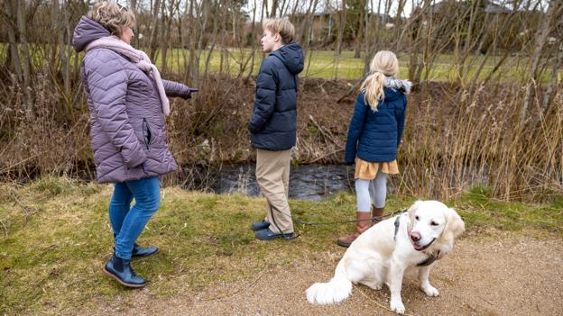 Det var, da hunden Maggie pludselig sprang mod vandet i den lille å, ulykken indtraf. <i>Foto: Martél Andersen</i>