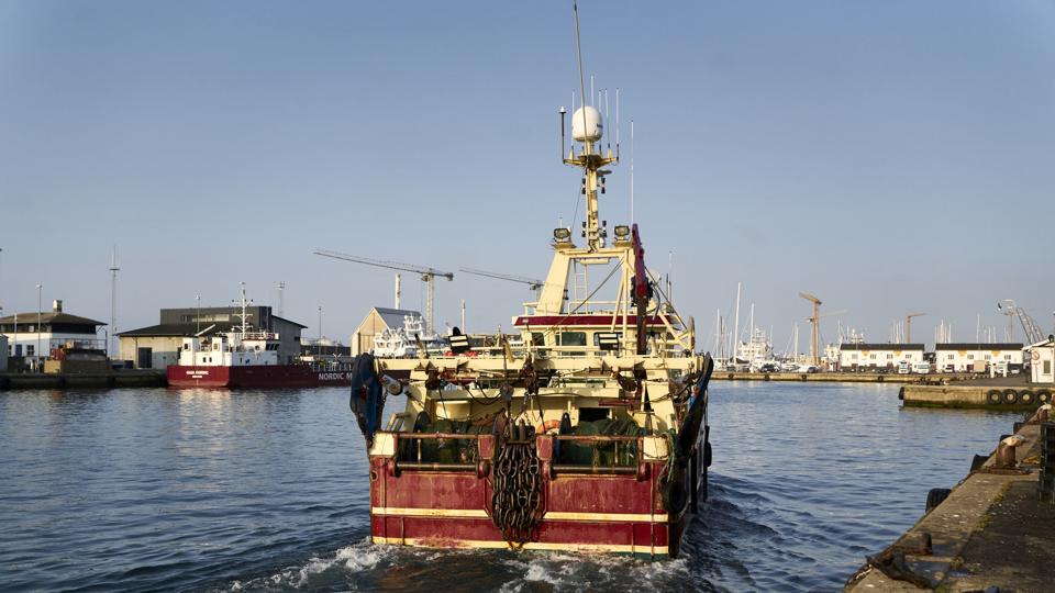 Danske fiskere kan igen fiske i norske farvande efter ny aftale mellem EU og Norge. (Arkivfoto) <i>Signe Goldmann/Ritzau Scanpix</i>