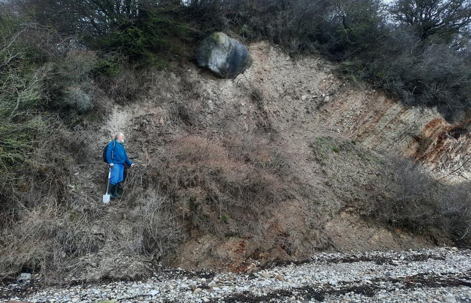 To geologer har fundet en kæmpesten seks-syv meter oppe i skrænten lidt syd for Silstrup Hoved. På billedet er den ene geolog, Ole Bennike, kravlet noget af vejen op til stenen. <i>Foto: Henrik Granat</i>
