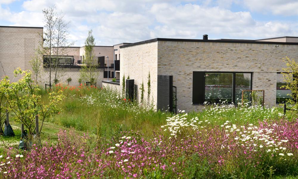 I sensommeren 2022 afleverede HHM sidste etape af Trongården i Kgs. Lyngby til Alfa Development. Et svanemærket byggeri af 187 boliger bestående af etplans- og toplanshuse samt lejligheder.