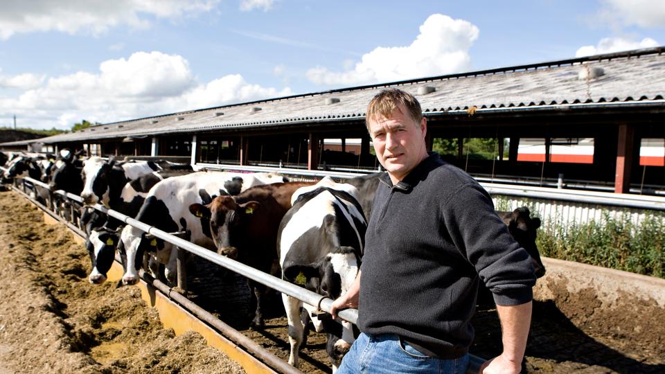 Kurt Jensen og hans familie er Nordjyllands største mælkeproducent. <i>Henning Bagger/Ritzau Scanpix</i>