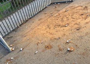 Træt af smadrede vodkaflasker i skolegården