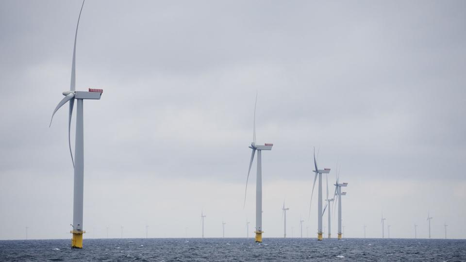 Green Power Denmark mener ikke, at der er behov for decideret statsligt medejerskab i havmøller. Organisationen ser hellere, at der stilles særlige krav til bydere.(Arkivfoto). <i>Bo Amstrup / Ritzau Scanpix/Ritzau Scanpix</i>