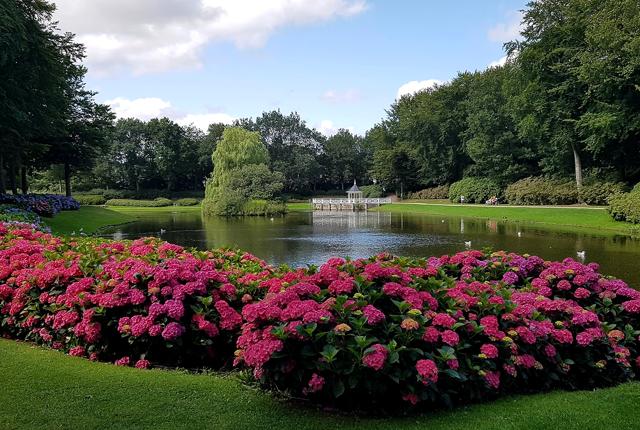 Turen går blandt andet til Rhododendronparken i Brønderslev