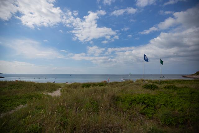 Friluftsrådet uddeler i år Blå Flag til 153 strande og 15 havne.