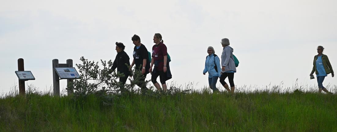 Mandag 22. maj 2023 var der Ladywalk i Agger, hvor 2430 kvinder gik tur langs Vestkysten. Det er markant færre end rekorden, men alligevel drømmer de om flere deltagere end i København.